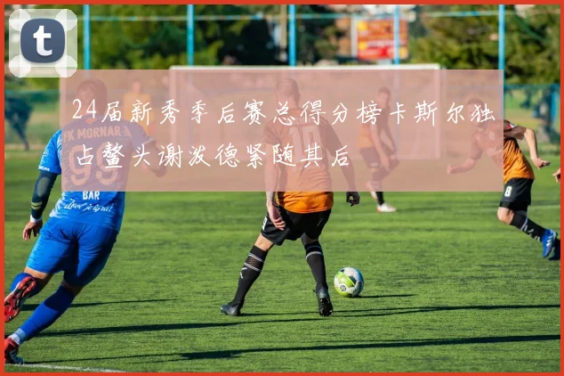 24届新秀季后赛总得分榜卡斯尔独占鳌头谢泼德紧随其后